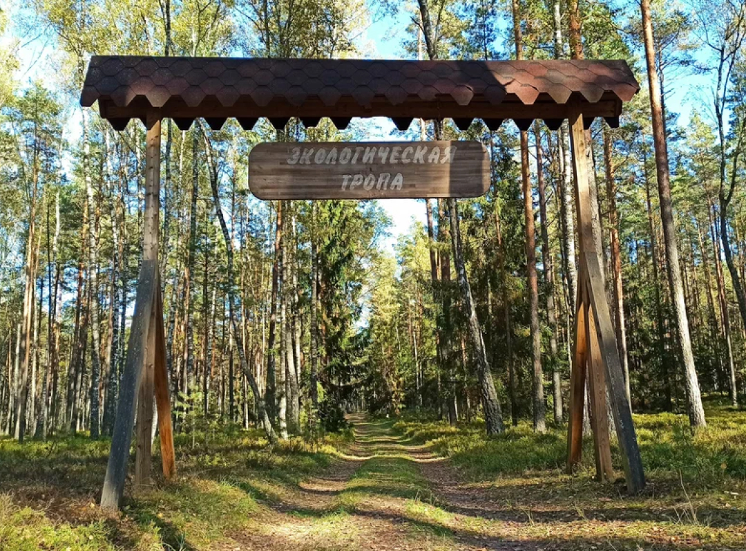 Пивоварня Robim Good Brewery - Вязынка - Налибокская пуща - фото 3