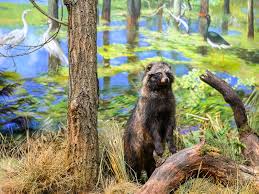 Море Геродота - фото 4