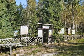 Дикая душа Полесья - фото 3