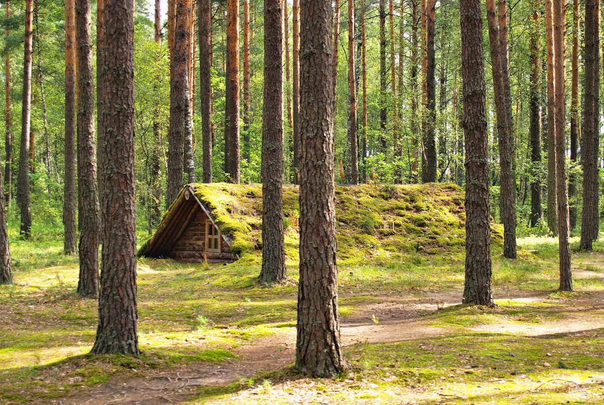 Военно-патриотические туры по Могилевщине