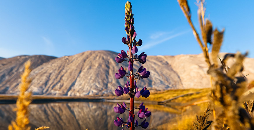Меловые карьеры-Терриконы-Пояса