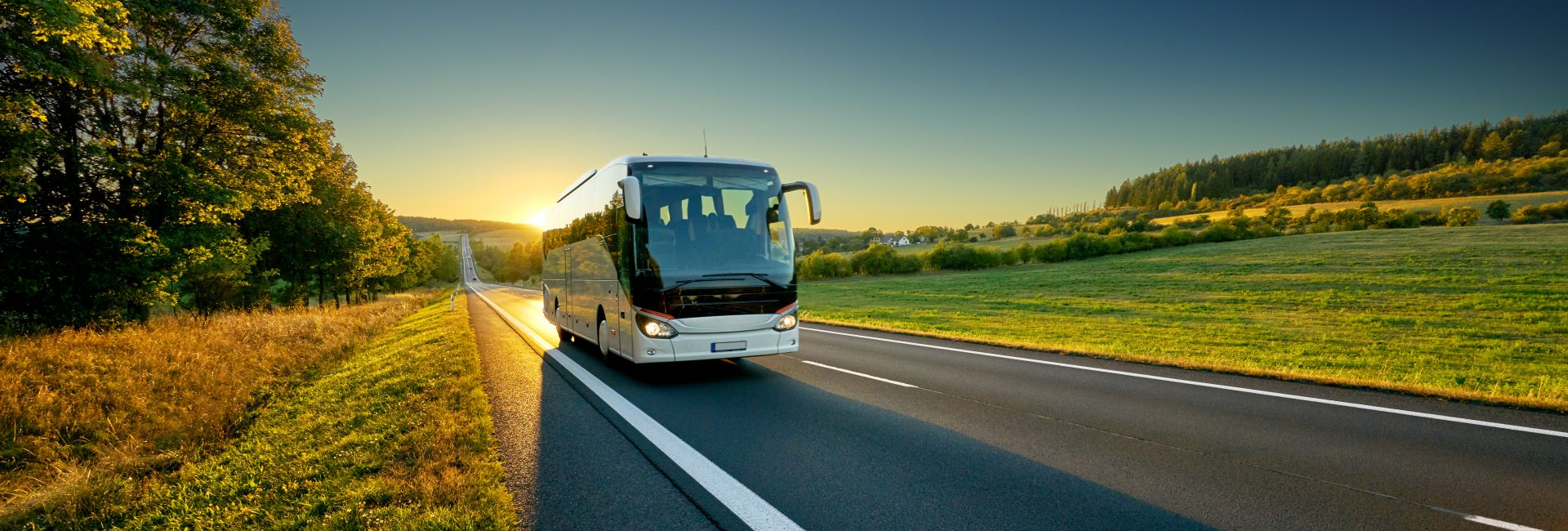 Автобусные туры в Питер, Москву, Карелию