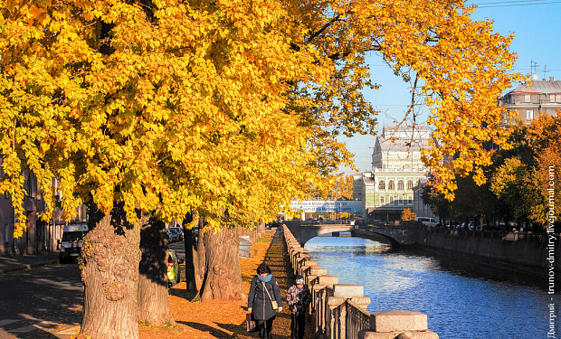 Главное фото