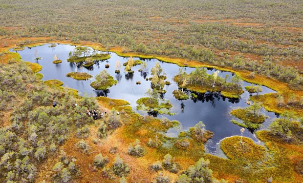 Главное фото