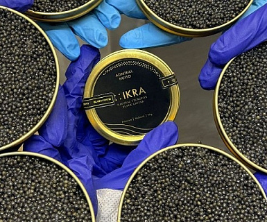 Осетровая ферма с дегустацией и усадьба «Мир пчел» Фото главное