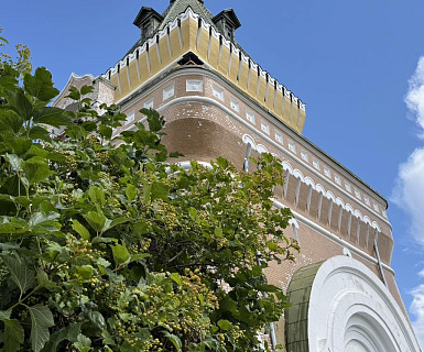 Лавандовая симфония Фото главное