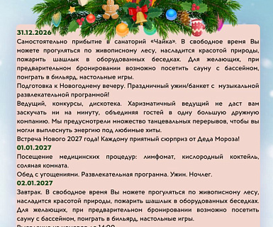 Новый год в санатории «Чайка» Фото главное